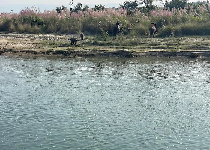 Chitwan Riverside Resort