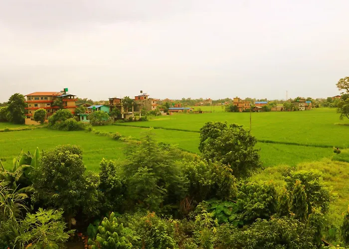Hotel National Park Sauraha- Homely Stay And Peaceful Location And Ethical Jungle Safari Arrangements