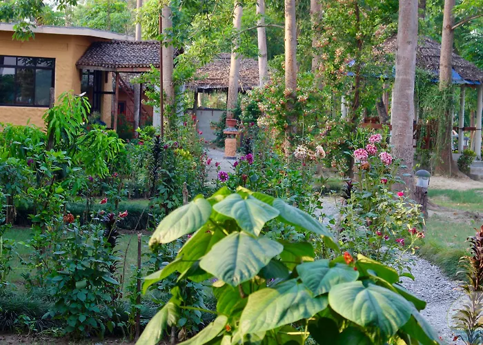 River View Jungle Camp